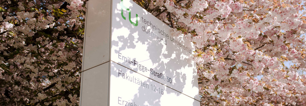 TU im Frühling_16 Eine TU Informationssäule umgeben von einem blühenden Kirschblütenbaum.