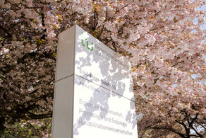 TU im Frühling_16 Eine TU Informationssäule umgeben von einem blühenden Kirschblütenbaum.